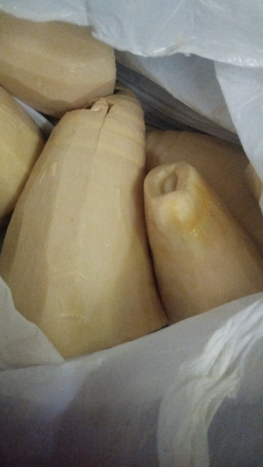 Rebung Utuh